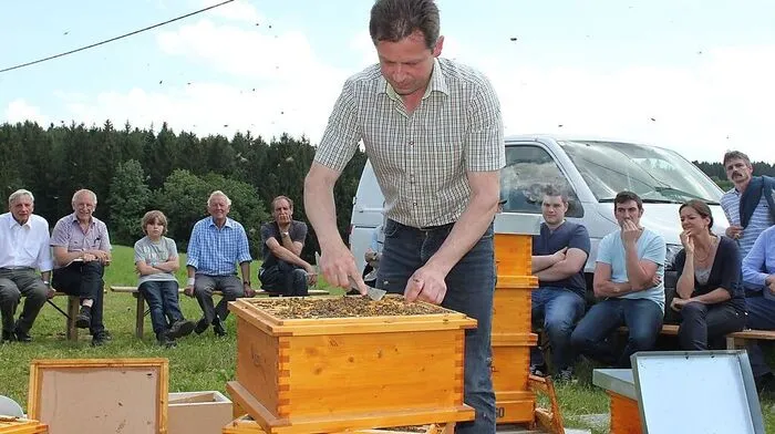 Werner Kurz vom Landesverband für Bienenzucht bei der Schulung