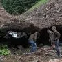 Gefahr: Übergänge, die oft von oben nicht als Lawine erkennbar sind 