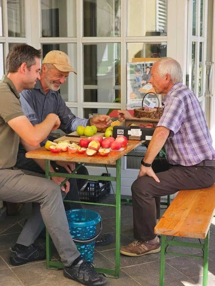 Beim Sortentag werden verschiedene Obstsorten begutachtet