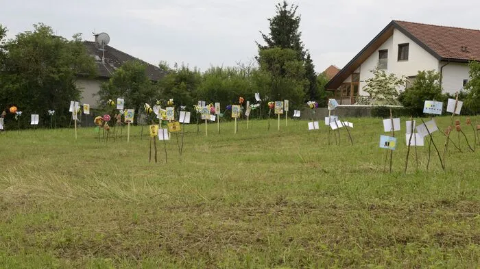 Mit großer Begeisterung feierten ca. 70 Kinder des Kindergartens Grafendorf mit ihren Betreuerinnen, den Eltern und Gästen das Bienen-Fest