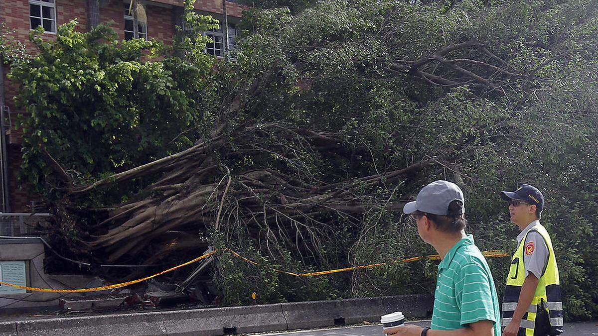 In der taiwanesischen Hauptstadt Taipeh zog Nesat eine Schneise der Verwüstung