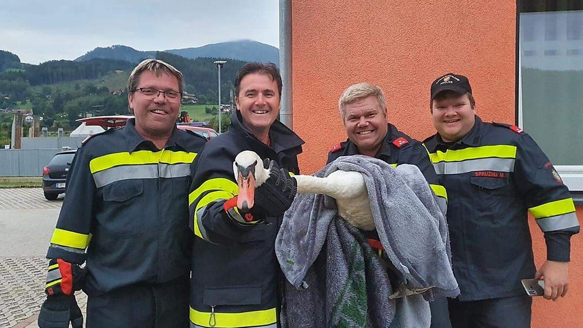 Schwanendame Karoline mit ihren Rettern von der Freiwilligen Feuerwehr Proleb