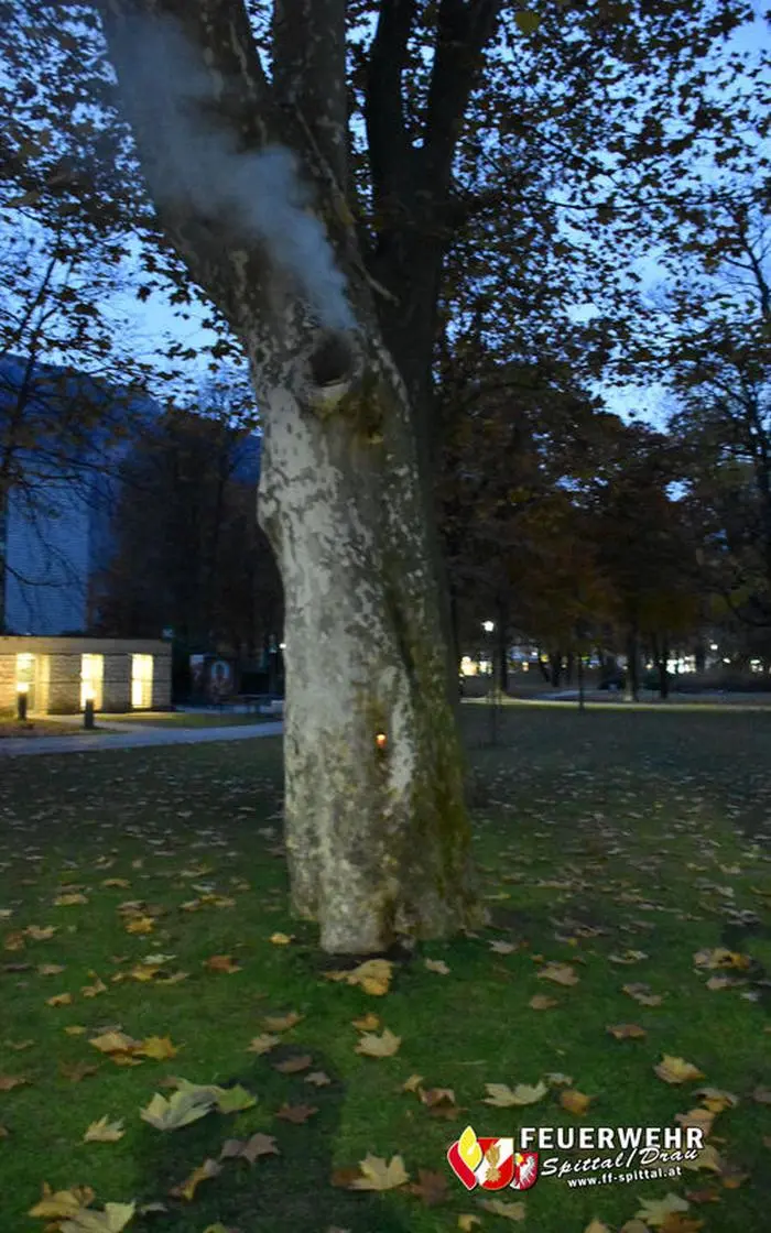 2021.11.06 - Brand eines Baumes Schlosspark Porcia