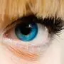 Auge mit blauer Iris | Das menschliche Auge kann Licht mit Wellenlängen zwischen etwa 400 und 780 Nanometern wahrnehmen