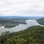 Am Wörthersee stehen 80 Hektar Wald zum Verkauf