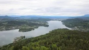 Am Wörthersee stehen 80 Hektar Wald zum Verkauf