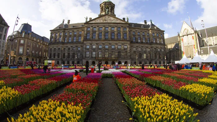 Jedes Jahr am dritten Samstag im Januar wird der Amsterdamer Damplatz mit ca. 200.000 Tulpen gefüllt!