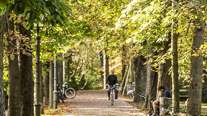 Stadtpark-Vandalismus
