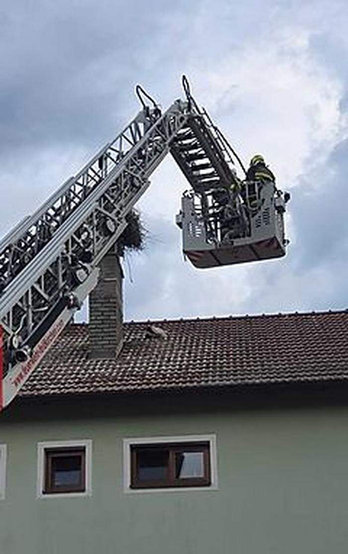 Die Feuerwehr hat den Jungvogel geborgen und wieder im Nest abgesetzt