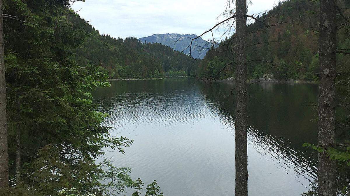 Der Salza-Stausee bei Bad Mitterndorf