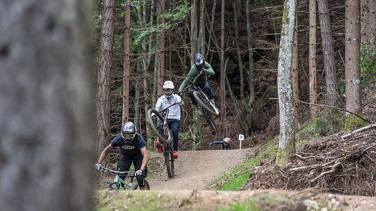 Die Bikestrecken am Lienzer Hochstein sind gut frequentiert, doch nicht jeder hat seine Freude daran