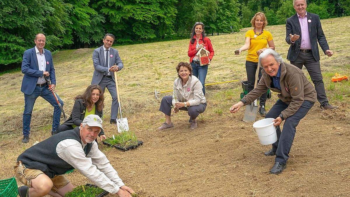 In Gamling an der B54 wurde ein 3000 Quadratmeter großes Grundstück für Wildblumen errichtet