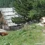 Pamela auf der Alm - links 
