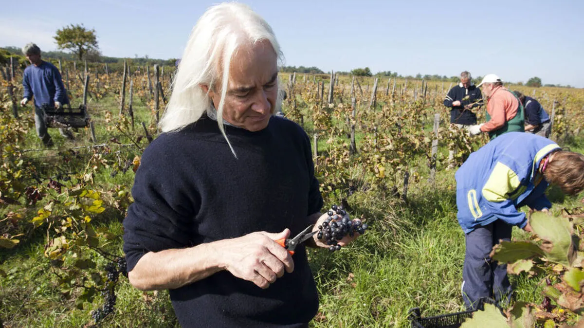 Günther Schönberger in einem seiner burgenländischen Weingärten