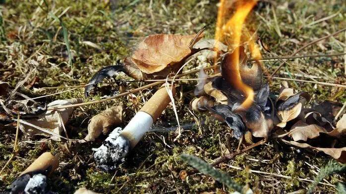 Jegliches Anzünden von Feuer in Wäldern ist aufgrund erhöhter Waldbrandgefahr verboten