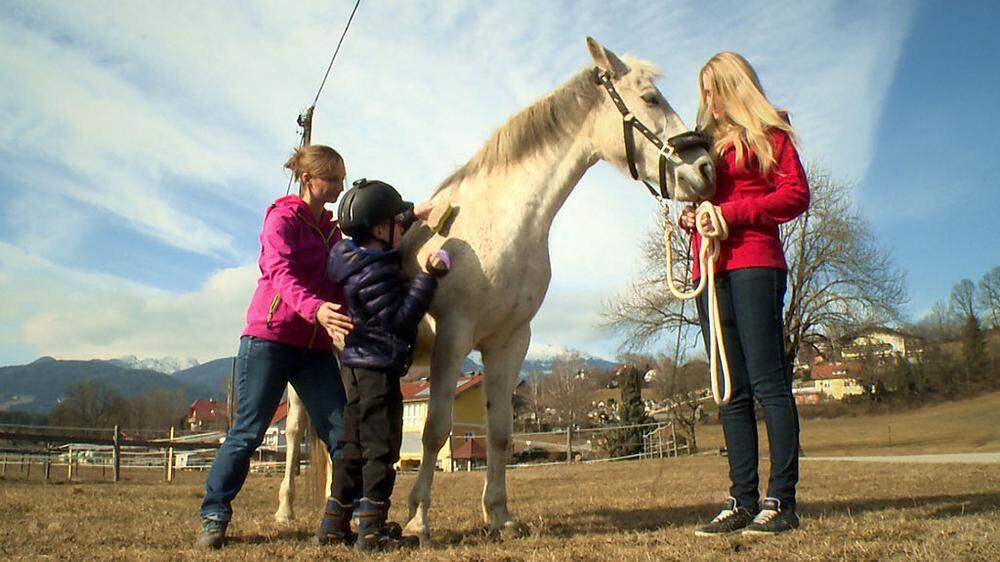 Füttern, striegeln, reiten: Verein Hippokrates setzt auf Therapieerfolg mit ausgebildeten Pferden