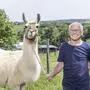 Rupert (76) mit einem seiner fünf flauschigen Lamas
