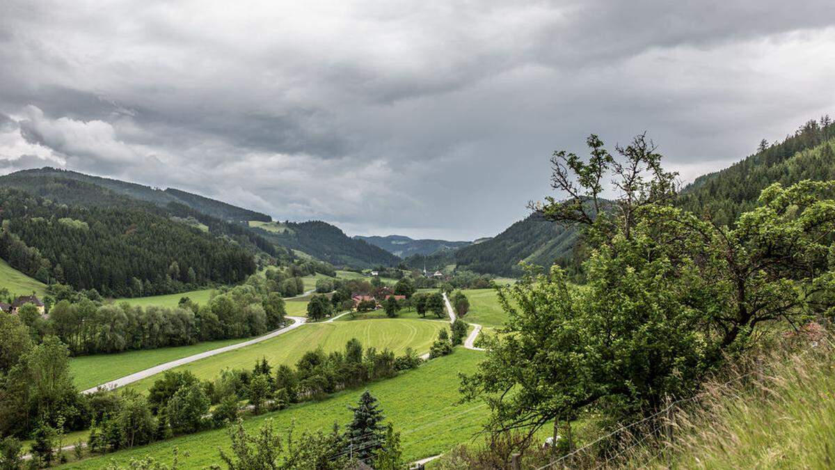 Der Blick im Görtschitztal soll in die reichen. &quot;Domus Futura&quot; steht dafür