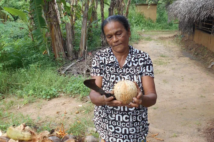 Im Pelwehera-Dorf nahe Dambulla bereiten Frauen Köstlichkeiten der heimischen Küche zu.