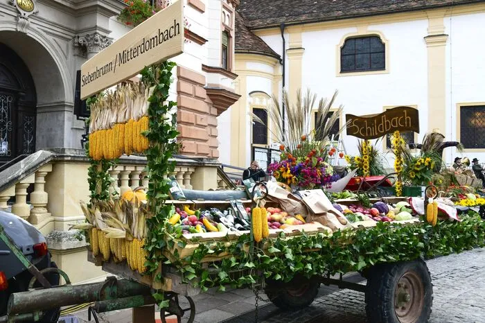 Anschließend fand auf dem Hauptplatz und der Fußgängerzone das Winzerfest statt, mit Wein, Sturm und kulinarischen Köstlichkeiten aus der Region