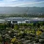 14.000 Parkplätze, ein zwölf Hektar großer Park im Inneren mit 9000 Bäumen: Apples neuer „Apple Park“ in Cupertino setzt neue Maßstäbe.