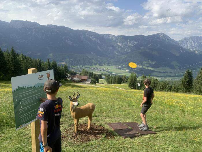 Beim Downhill-Discgolf ist Geschick und eine Portion Treffsicherheit gefragt 