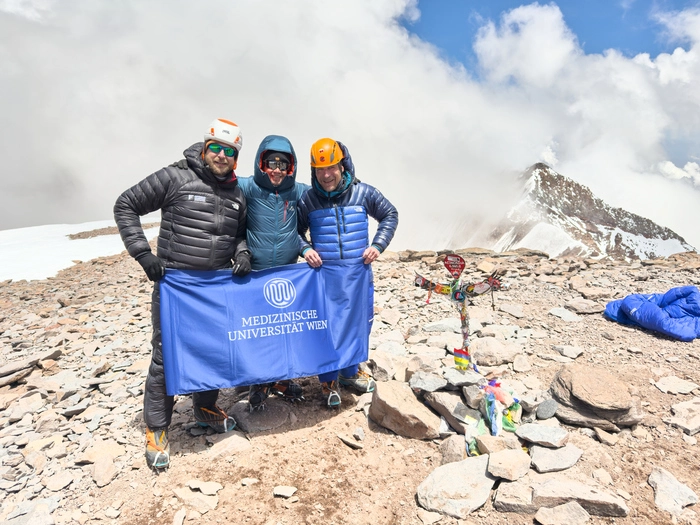 Jakob Mühlbacher, Helmut Steigersdorfer, Clemens Aigner am Gipfel. Der Aconcagua ist der höchste Gipfel außerhalb Asiens