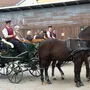 Die Clubmitglieder wurden auf eine Kutschenfahrt eingeladen