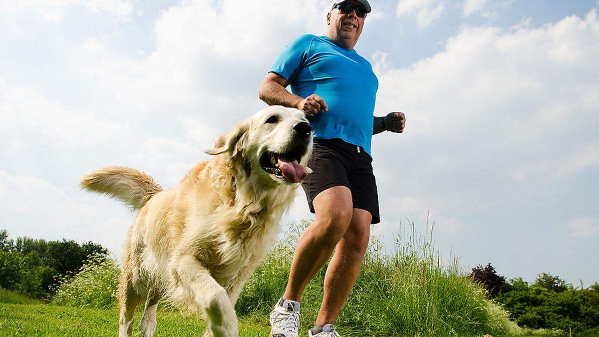 Gemeinsame Aktivitäten schweißen Hund und Herrchen zusammen