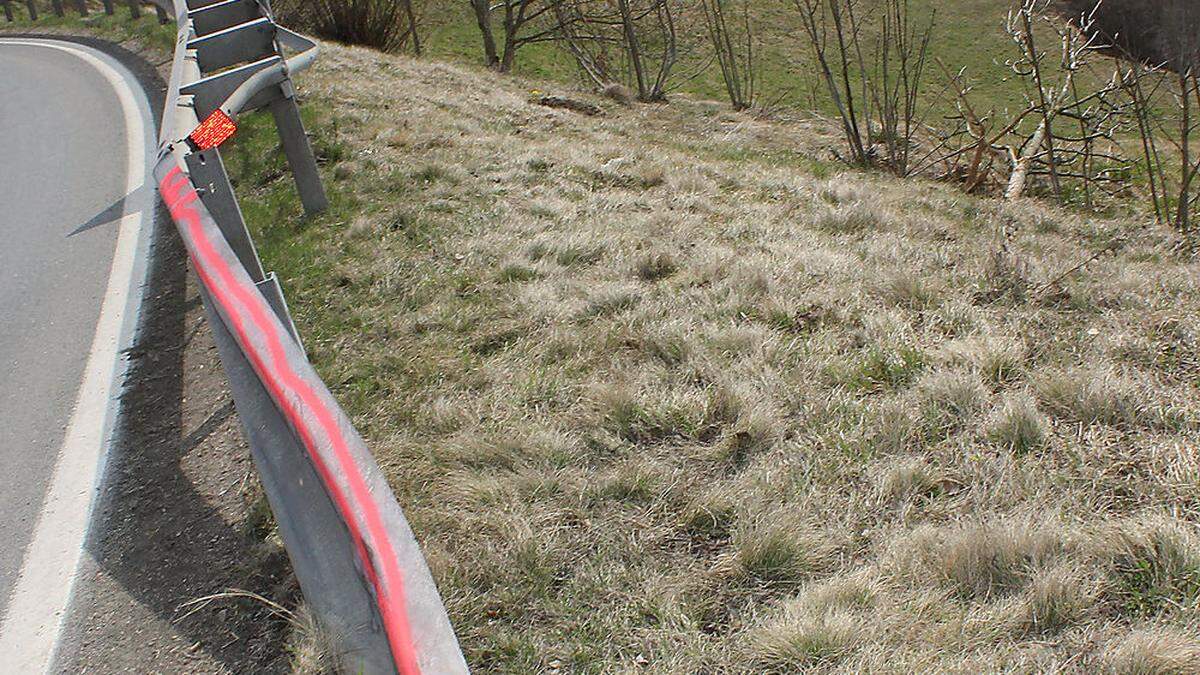 Die Unfalllenkerin krachte gegen eine Leitschiene