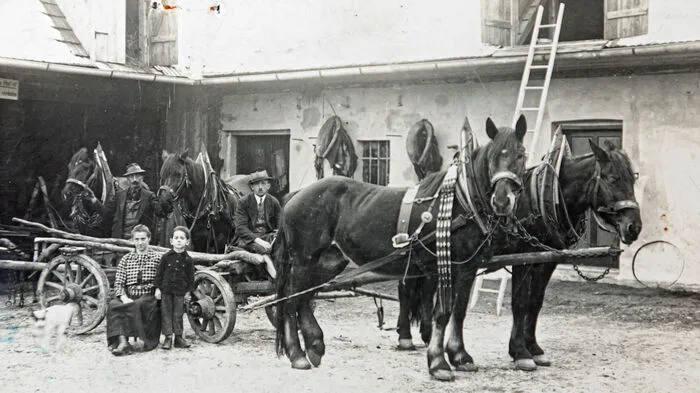 Im Jahr 1920 wurde das Unternehmen als Pferdefrächterei gegründet.