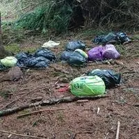 Rund 40 Meter von der Straße entfernt wurden zum zweiten Mal innerhalb weniger Tage Speisereste illegal entsorgt