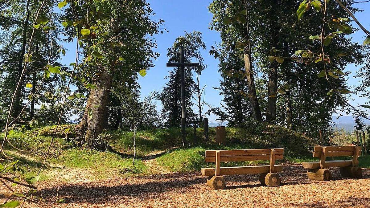 Bäume dienen in Friedensforst als natürliche Grabstätten