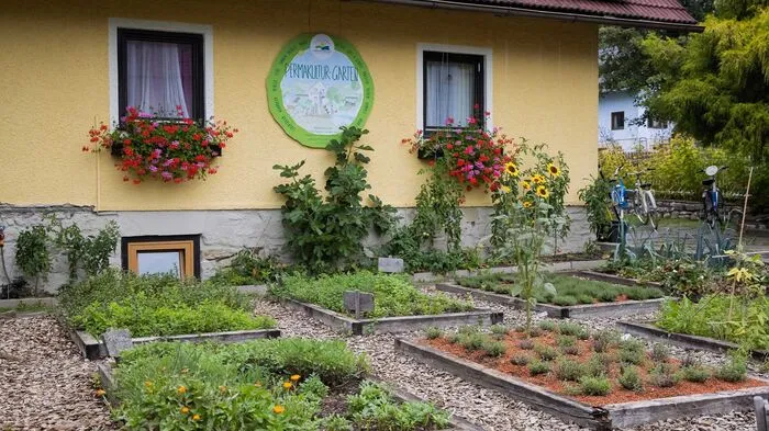 2020 wurde im Brennseehof der Grundstein für den neuen Permakulturgarten gelegt. In Zusammenarbeit mit einem Gartenspezialisten hat man eine Gartenlandschaft mit 13 Bodenbeeten aus Lärchenholz ...