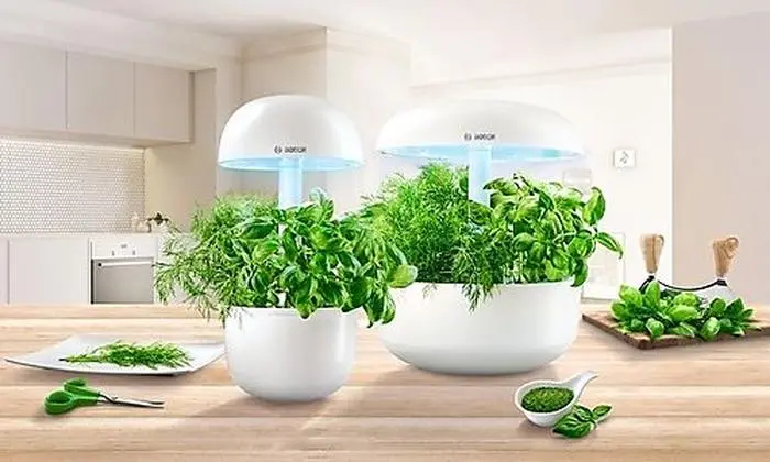 Smart-Garten-Systeme sind das Gemüsebeet 4.0