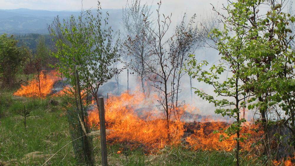 Waldbrand in Graz: So musste die Berufsfeuer bereits im April 2016 ausrücken. Damals brannte es am Plabutsch