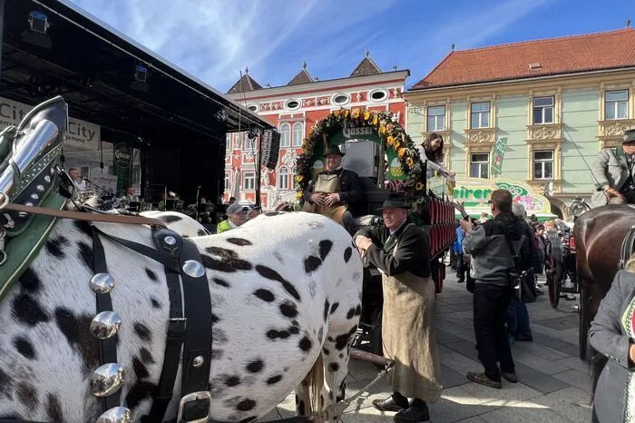 Die Pferdekutschen gehören zum Gösser Kirtag