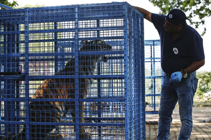 In einem Tierschutzzentrum in Karacabey, nahe der Stadt Bursa, werden die Tiere vorerst medizinisch versorgt, ehe sie in ihr endgültiges Zuhause weiterreisen.