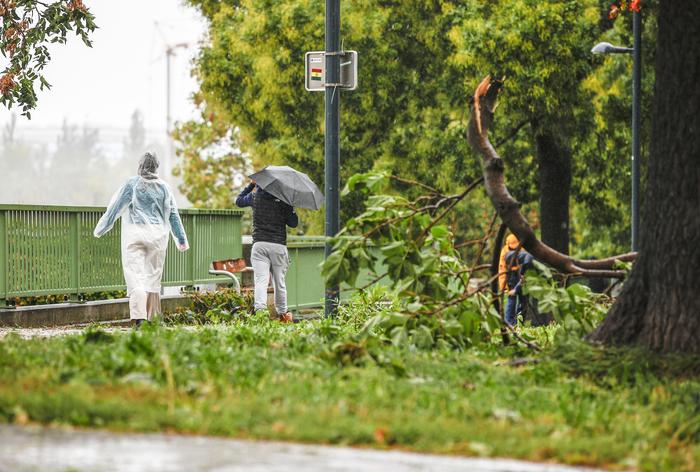 Sturmböen sorgten  für umgestürzte Bäume und abgebrochene Äste 