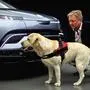 Henrik Fisker mit Hund und seinem Fisker Ocean: Das Projekt ist jetzt endgültig auf Schiene