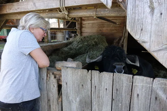 Irmgard Schober kennt jeder ihrer Tiere beim Namen.