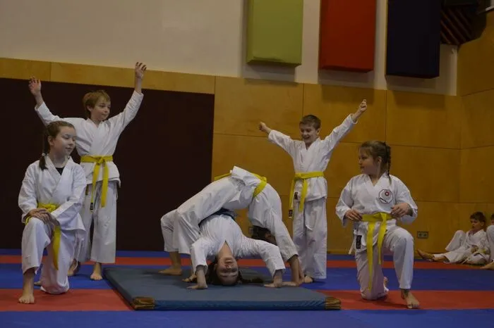 Eröffnet wurde der Tag der Gesundheit mit Darbietungen der Karate Kids, die einen kurzen Einblick in ihr wöchentliches Training gaben.