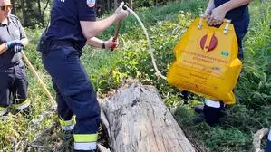 Die Mariazeller Feuerwehr war am Mittwoch im Einsatz
