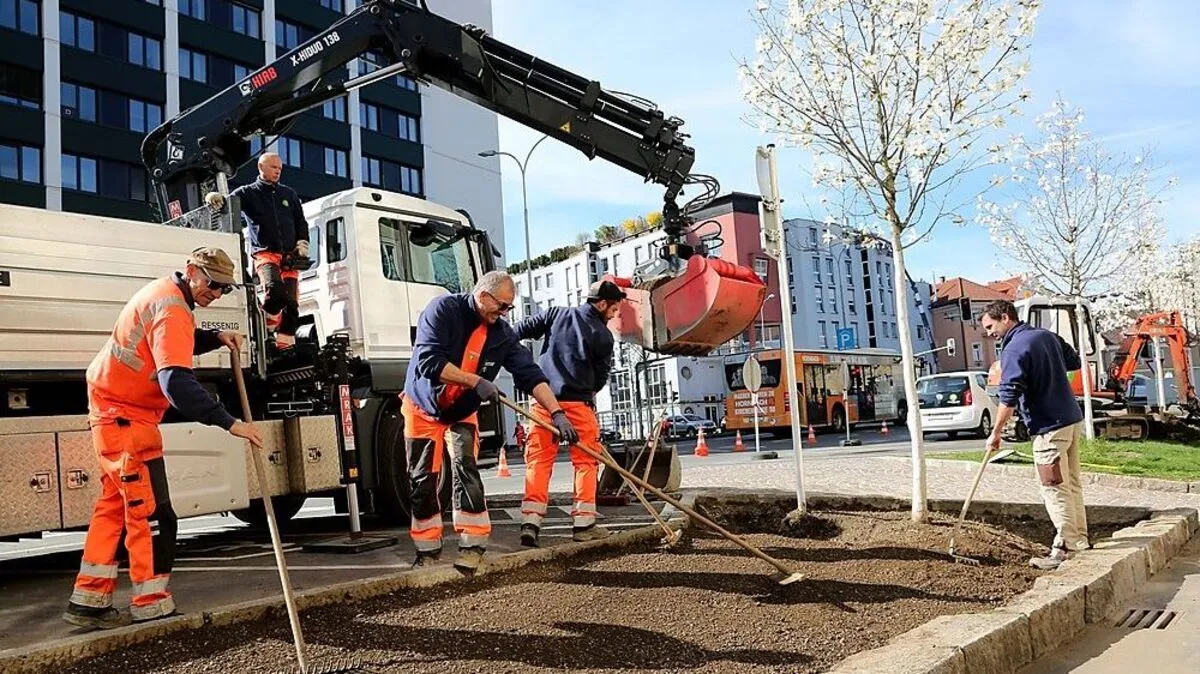 Auch beim Villacher Ring haben die Stadtgärtner Jungbäume gepflanzt und Staudenmischbeete neu gestaltet