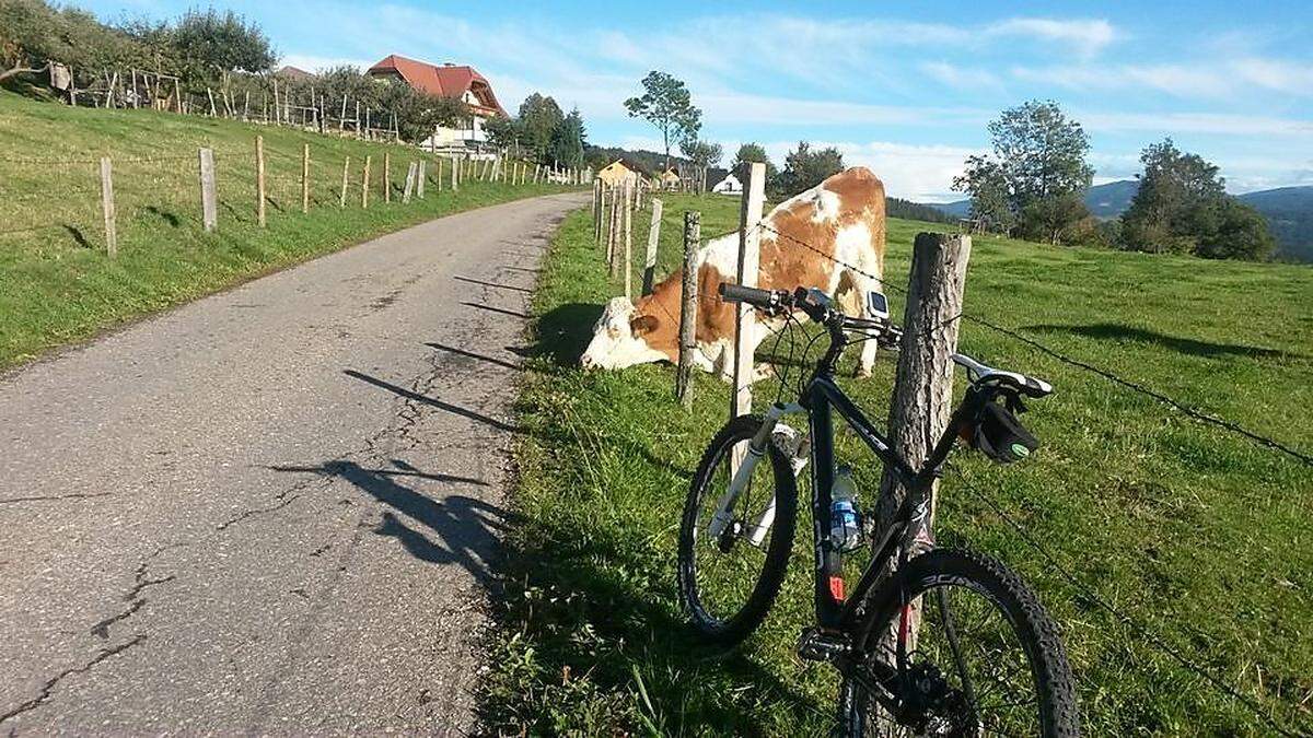 Idylle pur erlebt man auf dieser Mountainbikestrecke