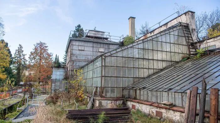 Sie stehen seit 2008 unter Denkmalschutz, trotzdem verfallen die historischen Glashäuser im Botanischen Garten vor sich hin.