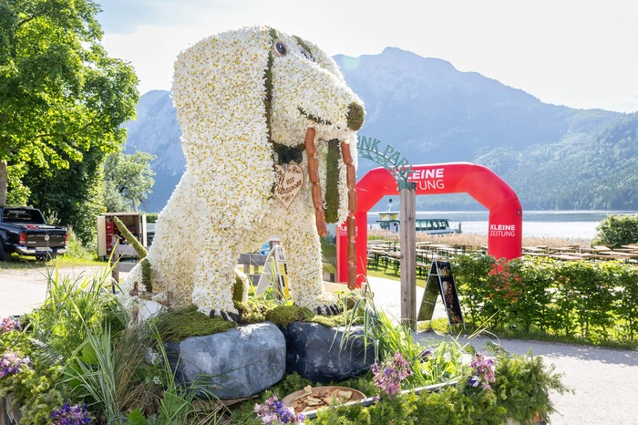 Der „Sumpfdackel“ landet auf Platz zwei