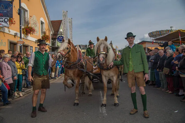 Insgesamt 50 Gruppen und Wagen waren dabei