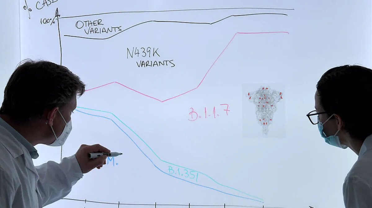 Sequenzierung von Coronaviren im Labor