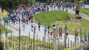 Der Welschlauf führt am Samstag wieder durch die Weinberge der Süd- und Weststeiermark. Heuer steuert der Traditionslauf zahlenmäßig auf Vor-Corona-Niveau zu.